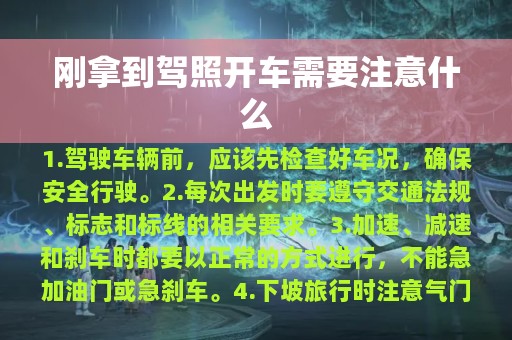 刚拿到驾照开车需要注意什么