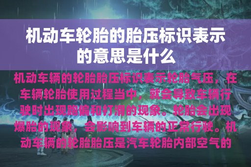 机动车轮胎的胎压标识表示的意思是什么