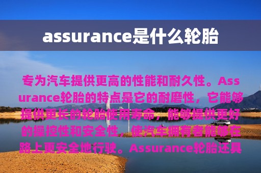 assurance是什么轮胎