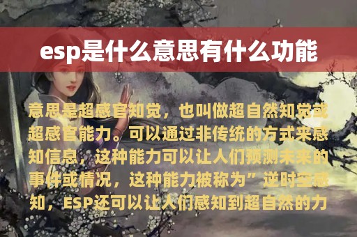 esp是什么意思有什么功能