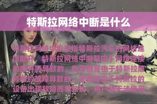 特斯拉网络中断是什么