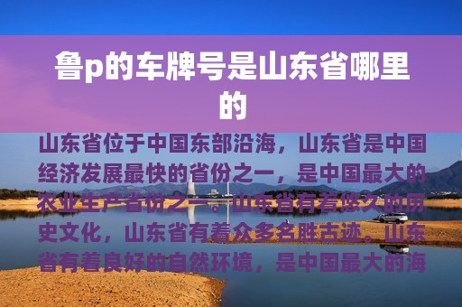 鲁p的车牌号是山东省哪里的