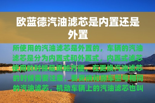 欧蓝德汽油滤芯是内置还是外置