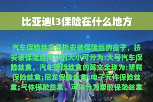 比亚迪l3保险在什么地方