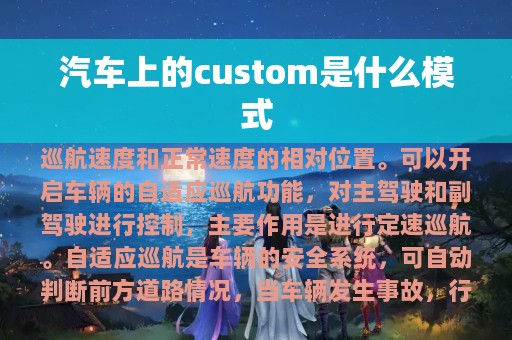 汽车上的custom是什么模式