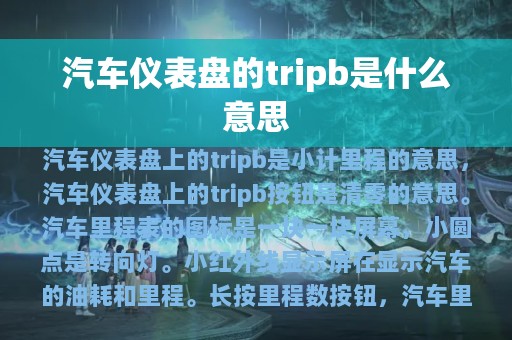 汽车仪表盘的tripb是什么意思