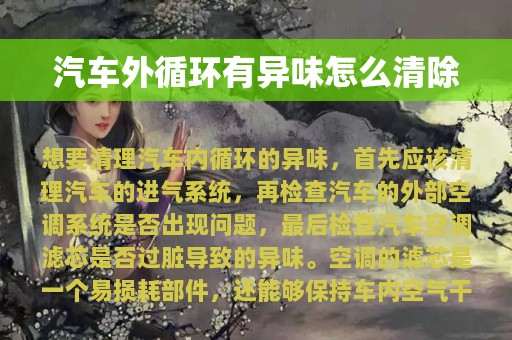 汽车外循环有异味怎么清除