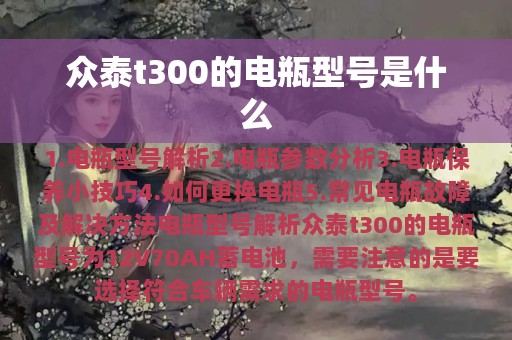 众泰t300的电瓶型号是什么