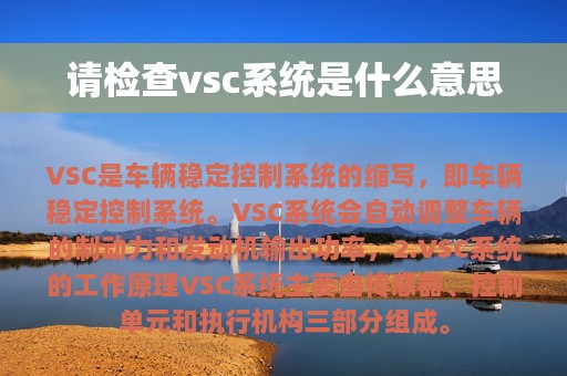 请检查vsc系统是什么意思