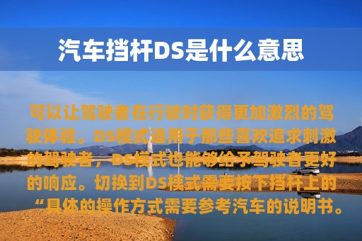 汽车挡杆DS是什么意思