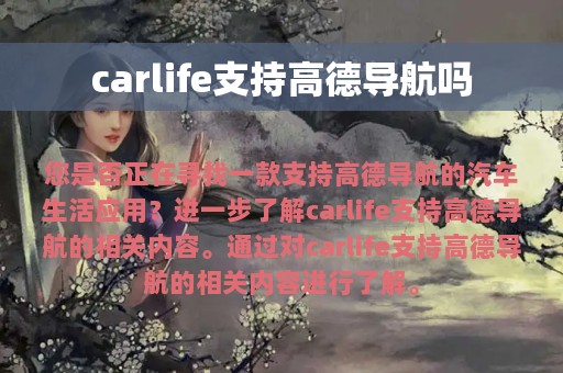 carlife支持高德导航吗