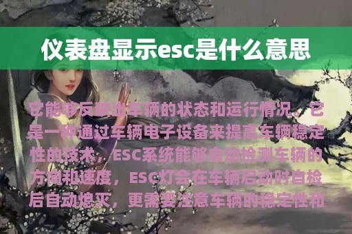 仪表盘显示esc是什么意思