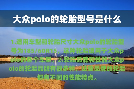 大众polo的轮胎型号是什么