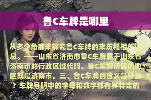 鲁C车牌是哪里