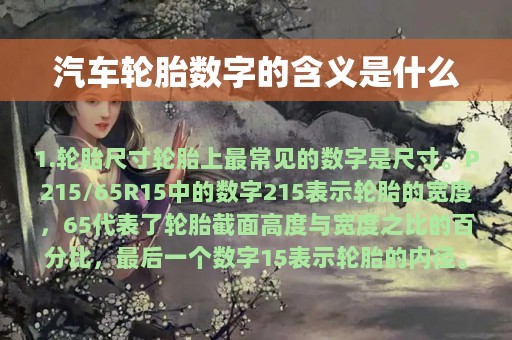 汽车轮胎数字的含义是什么