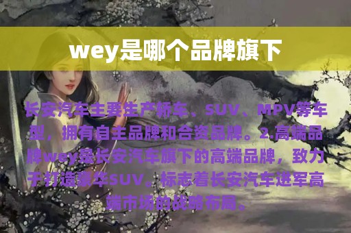 wey是哪个品牌旗下