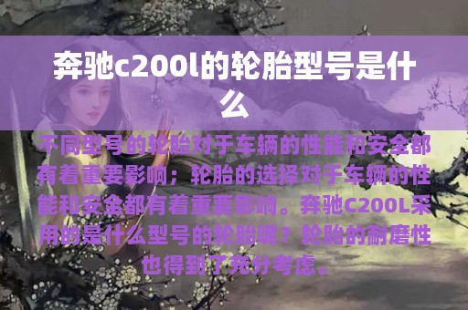 奔驰c200l的轮胎型号是什么