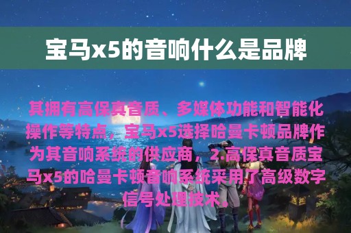 宝马x5的音响什么是品牌