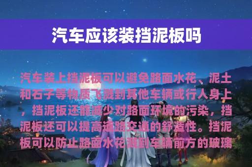 汽车应该装挡泥板吗