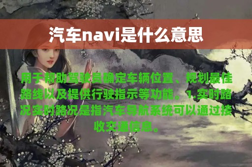 汽车navi是什么意思