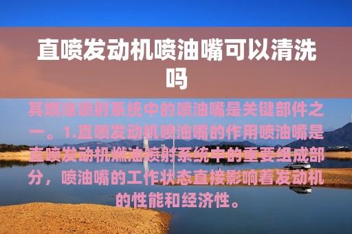 直喷发动机喷油嘴可以清洗吗