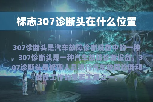 标志307诊断头在什么位置