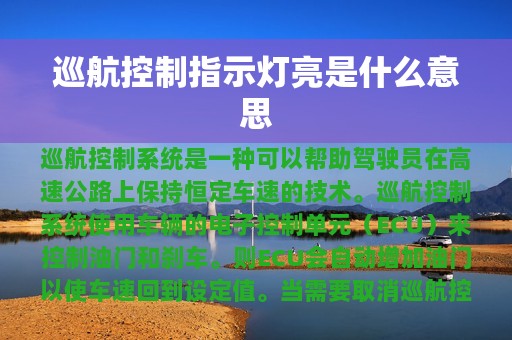 巡航控制指示灯亮是什么意思