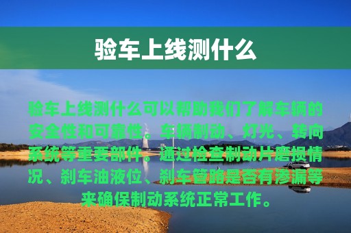 验车上线测什么