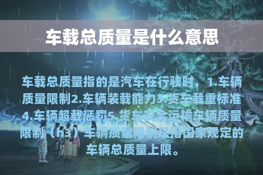 车载总质量是什么意思