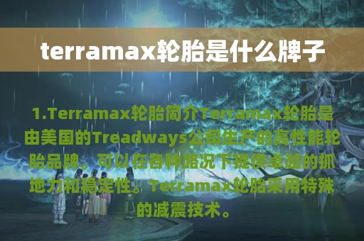 terramax轮胎是什么牌子