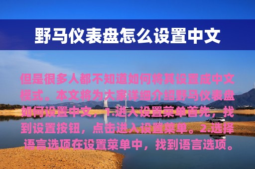 野马仪表盘怎么设置中文