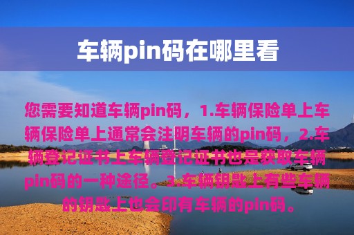 车辆pin码在哪里看