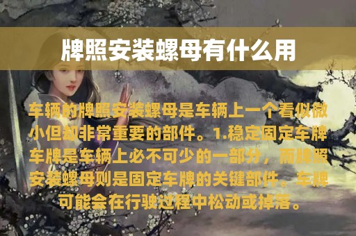 牌照安装螺母有什么用