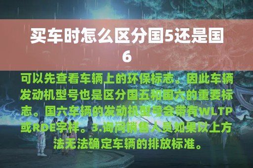 买车时怎么区分国5还是国6