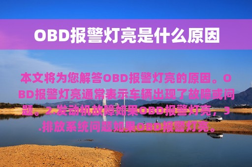 OBD报警灯亮是什么原因