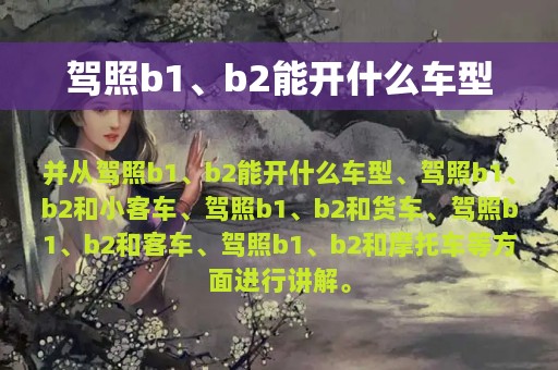 驾照b1、b2能开什么车型