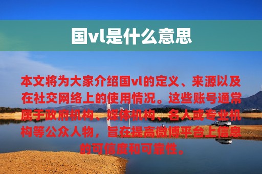 国vl是什么意思