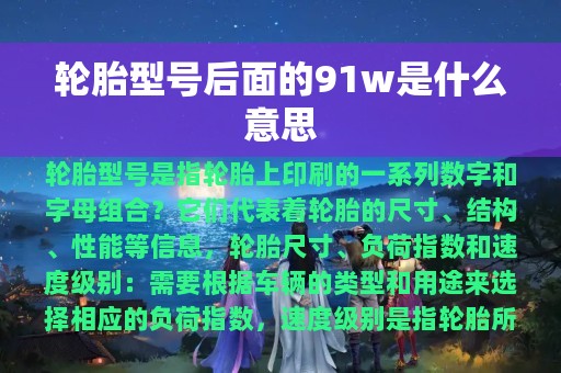 轮胎型号后面的91w是什么意思