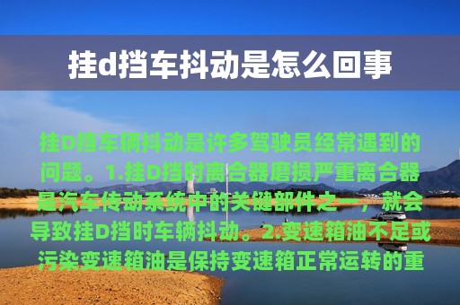 挂d挡车抖动是怎么回事