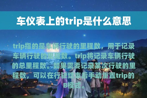 车仪表上的trip是什么意思