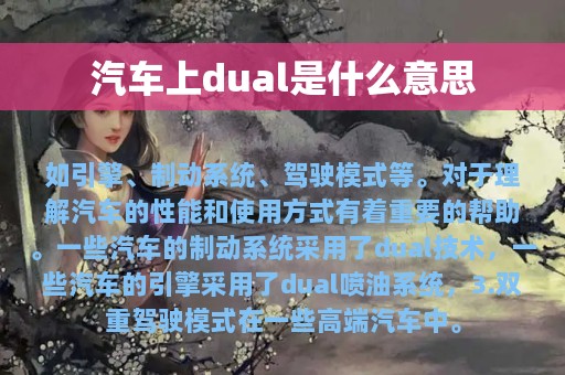 汽车上dual是什么意思