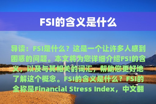 FSI的含义是什么