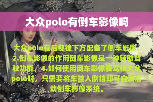 大众polo有倒车影像吗