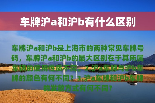 车牌沪a和沪b有什么区别