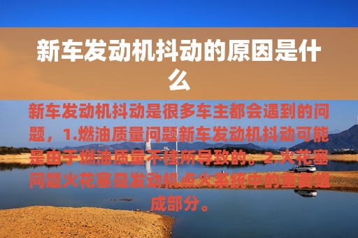 新车发动机抖动的原因是什么