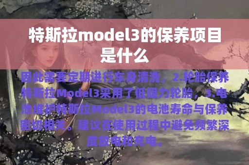 特斯拉model3的保养项目是什么