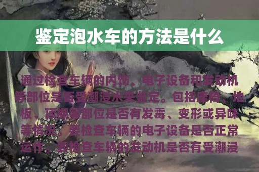 鉴定泡水车的方法是什么