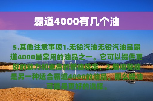 霸道4000有几个油