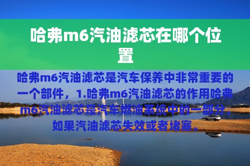 哈弗m6汽油滤芯在哪个位置