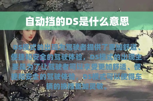 自动挡的DS是什么意思